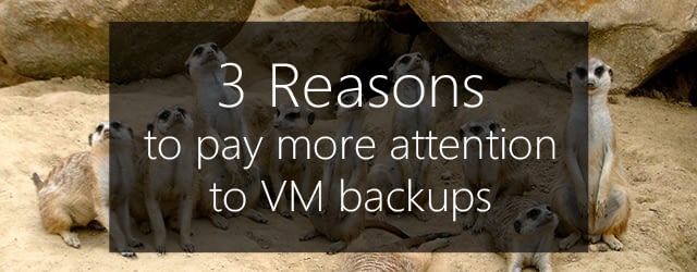 pay attention to vm backups