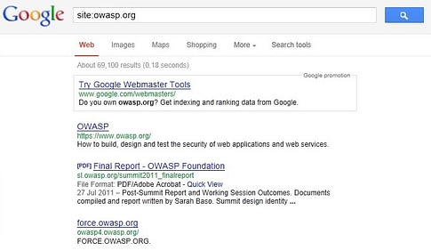 Google_site_Operator_Search_Results_Example_20121219